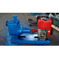 Cyz Centrifugal Cargo Diesel Oil Pump